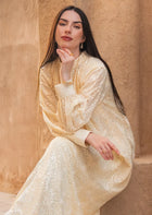 Heavy Embroidered Georgette
